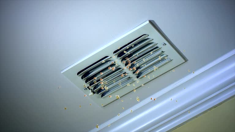 Best Ductwork Cleaning Services  in Laurel Lake, NJ